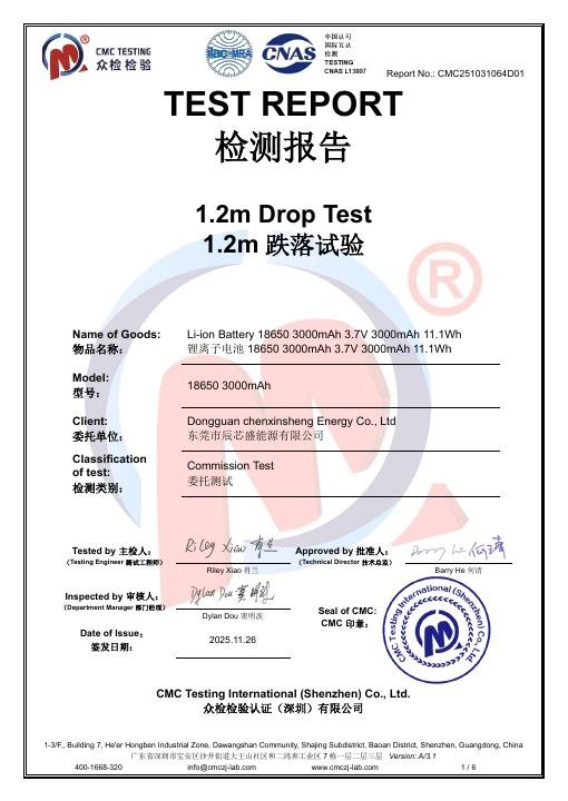 FDA 510(k) Face Mask - 1.2 m Drop Test Report - CMC251031064D01 document preview