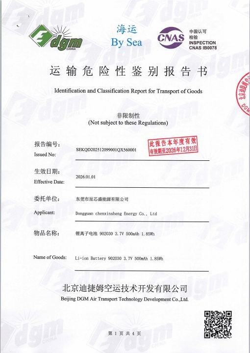 Crown Face Mask - Sea Transport Report document preview