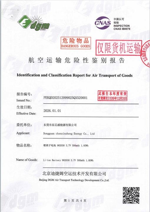 Crown Face Mask - Air Transport Report document preview