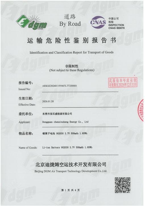 Crown Face Mask - Road Transport Report document preview
