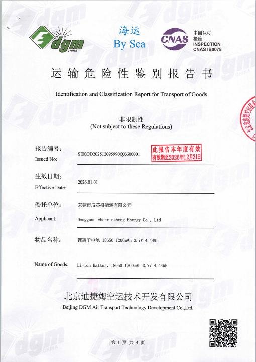Entry-Level Face Mask - Sea Transport Report document preview