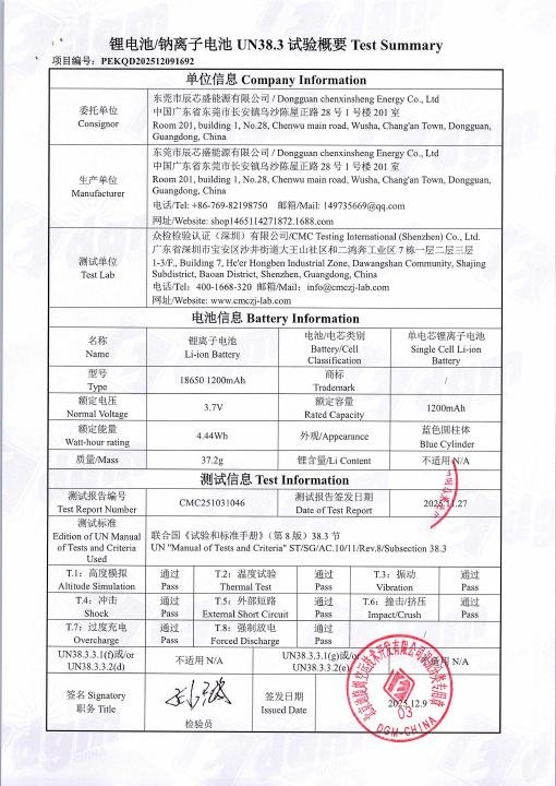 Entry-Level Face Mask - Battery Test Summary document preview