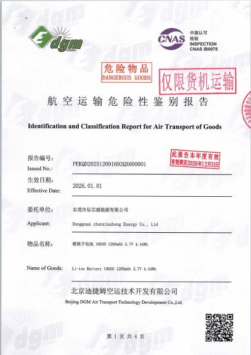 Entry-Level Face Mask - Air Transport Report document preview