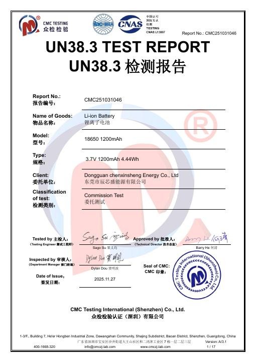 Entry-Level Face Mask - UN 38.3 Battery Transport Test - CMC251031046 document preview
