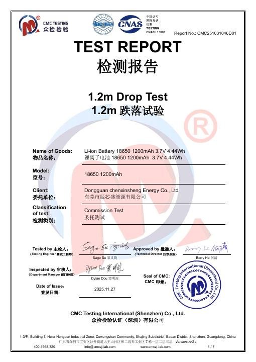 Entry-Level Face Mask - 1.2 m Drop Test Report - CMC251031046D01 document preview