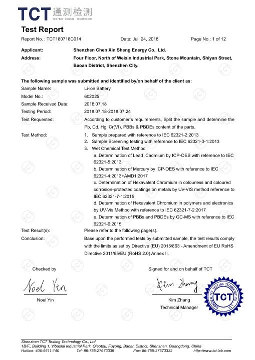 Entry-Level Face Mask - RoHS Test Report - 602025 document preview