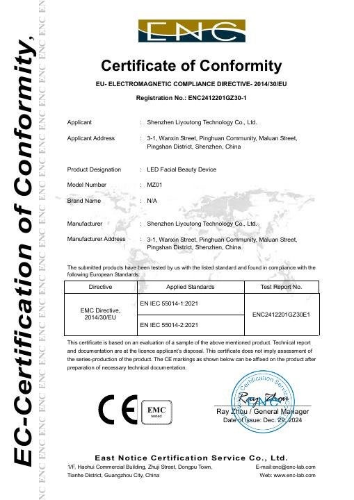 Entry-Level Face Mask - CE Certificate - MZ01 document preview