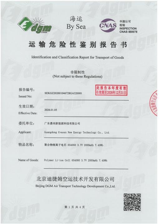 Rechargeable Light Therapy Cap - Sea Transport Report - NCT25046627 document preview