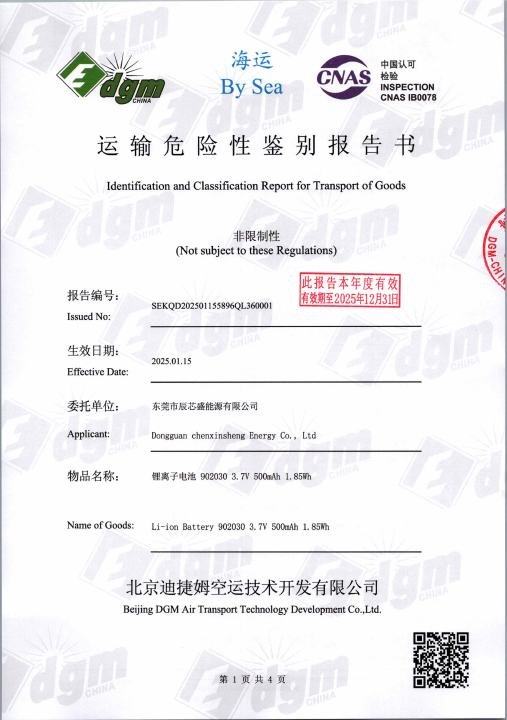 Diamond Face Mask - Sea Transport Report document preview