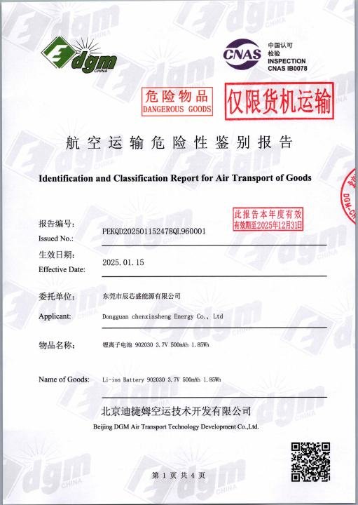 Diamond Face Mask - Air Transport Report document preview