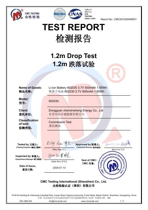 Diamond Face Mask - 1.2 m Drop Test Report - CMC241202046D01 document preview